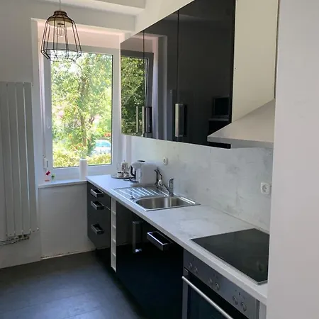 Hortensia Λιουμπλιάνα